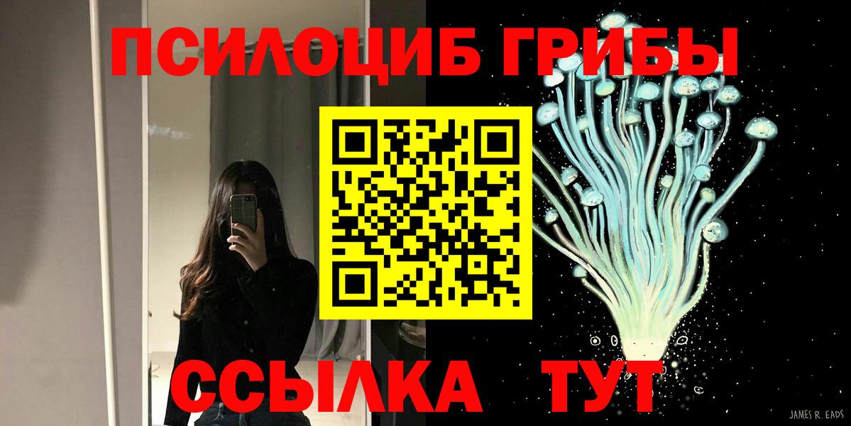 Псилоцибиновые грибы Psilocybe  Вход с VPN  Якутск  Галлюциногенные грибы мухоморы 