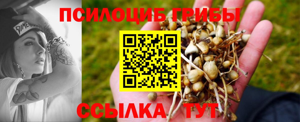 Псилоцибиновые грибы ЛСД Якутск